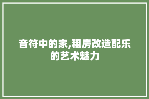 音符中的家,租房改造配乐的艺术魅力
