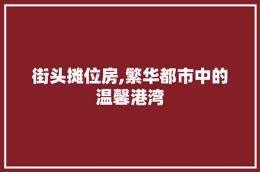 街头摊位房,繁华都市中的温馨港湾