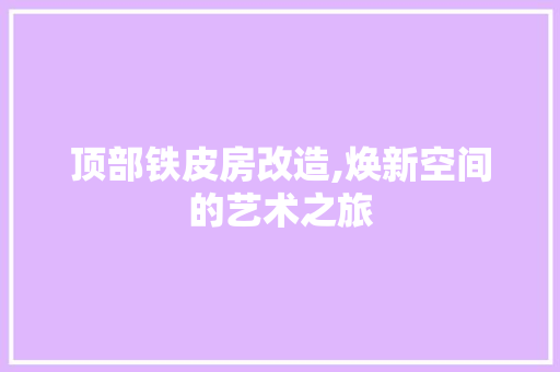 顶部铁皮房改造,焕新空间的艺术之旅
