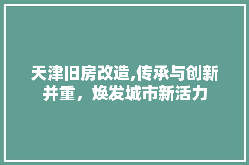 天津旧房改造,传承与创新并重，焕发城市新活力