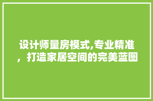 设计师量房模式,专业精准，打造家居空间的完美蓝图