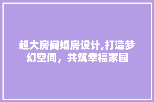 超大房间婚房设计,打造梦幻空间，共筑幸福家园