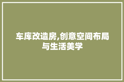 车库改造房,创意空间布局与生活美学
