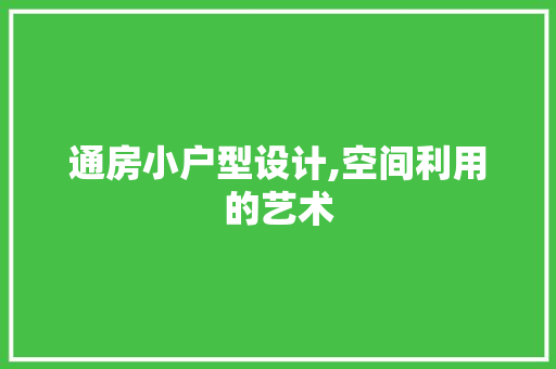 通房小户型设计,空间利用的艺术
