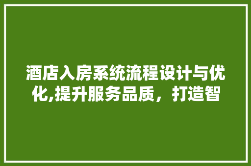 酒店入房系统流程设计与优化,提升服务品质，打造智能化体验