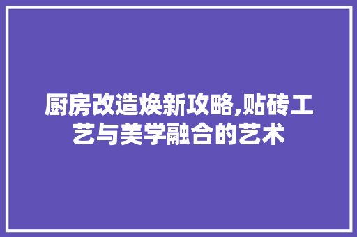 厨房改造焕新攻略,贴砖工艺与美学融合的艺术