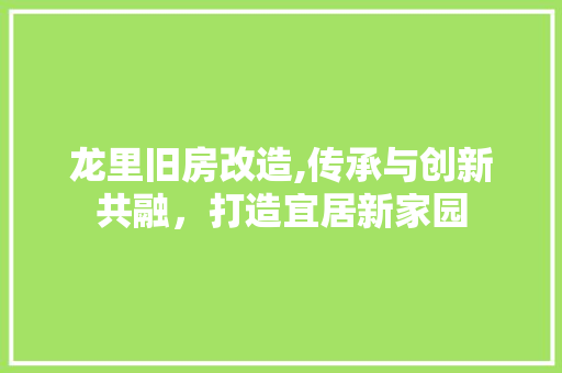 龙里旧房改造,传承与创新共融，打造宜居新家园