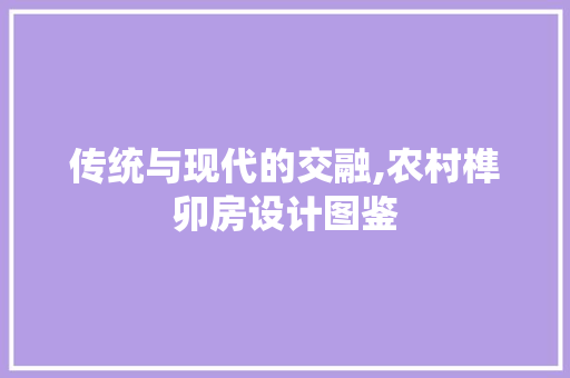 传统与现代的交融,农村榫卯房设计图鉴