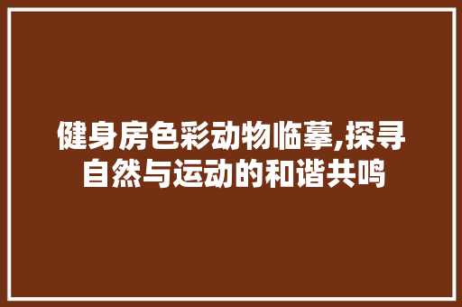健身房色彩动物临摹,探寻自然与运动的和谐共鸣