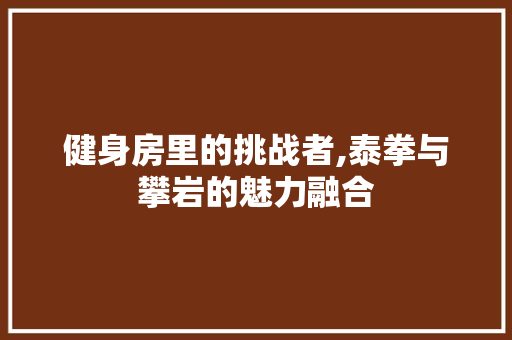 健身房里的挑战者,泰拳与攀岩的魅力融合