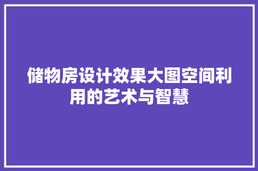 储物房设计效果大图空间利用的艺术与智慧