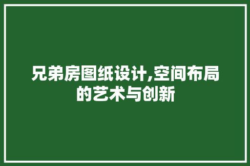 兄弟房图纸设计,空间布局的艺术与创新