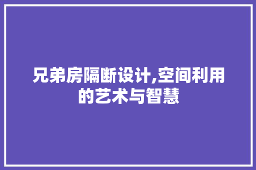 兄弟房隔断设计,空间利用的艺术与智慧