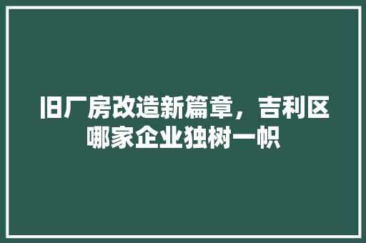 旧厂房改造新篇章，吉利区哪家企业独树一帜