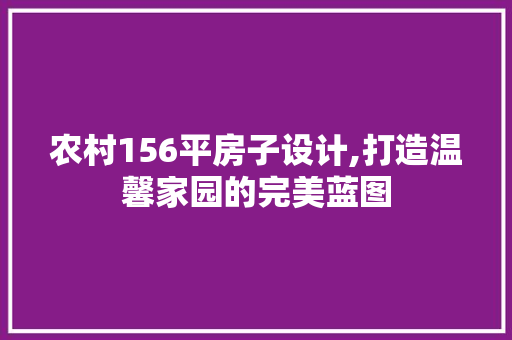 农村156平房子设计,打造温馨家园的完美蓝图