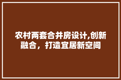 农村两套合并房设计,创新融合，打造宜居新空间