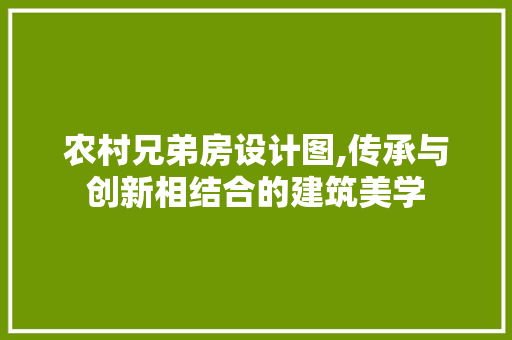 农村兄弟房设计图,传承与创新相结合的建筑美学
