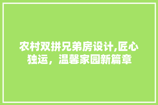 农村双拼兄弟房设计,匠心独运，温馨家园新篇章