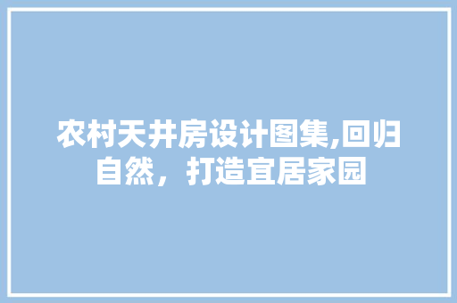 农村天井房设计图集,回归自然，打造宜居家园