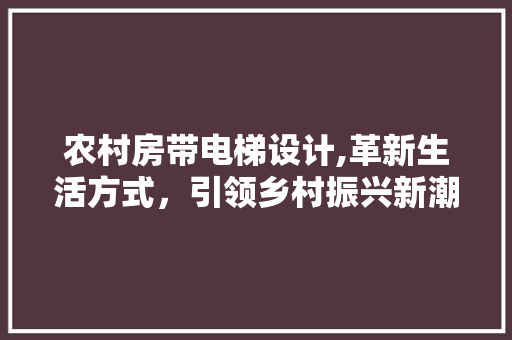 农村房带电梯设计,革新生活方式，引领乡村振兴新潮流