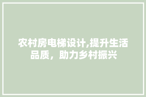 农村房电梯设计,提升生活品质，助力乡村振兴
