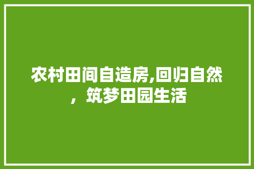 农村田间自造房,回归自然，筑梦田园生活
