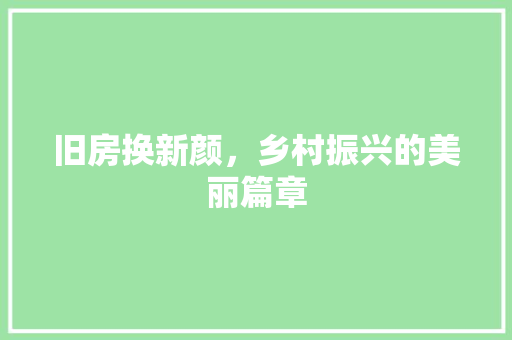 旧房换新颜，乡村振兴的美丽篇章