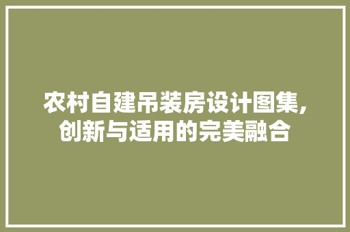 农村自建吊装房设计图集,创新与适用的完美融合