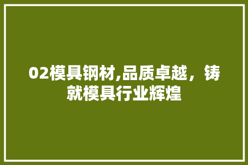 02模具钢材,品质卓越，铸就模具行业辉煌