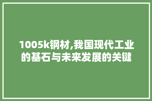1005k钢材,我国现代工业的基石与未来发展的关键