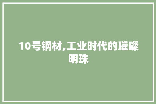 10号钢材,工业时代的璀璨明珠