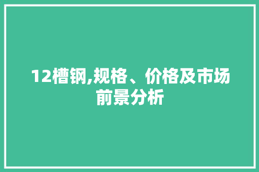 12槽钢,规格、价格及市场前景分析