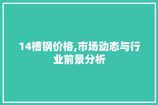 14槽钢价格,市场动态与行业前景分析