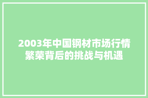 2003年中国钢材市场行情繁荣背后的挑战与机遇