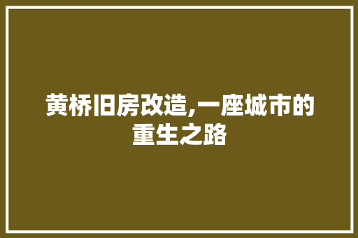 黄桥旧房改造,一座城市的重生之路