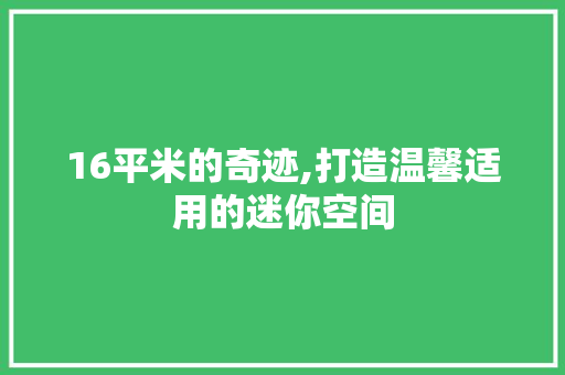 16平米的奇迹,打造温馨适用的迷你空间