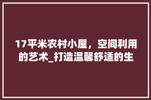 17平米农村小屋，空间利用的艺术_打造温馨舒适的生活空间
