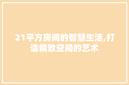 21平方房间的智慧生活,打造精致空间的艺术