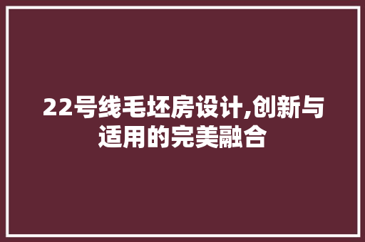 22号线毛坯房设计,创新与适用的完美融合