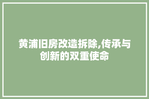 黄浦旧房改造拆除,传承与创新的双重使命