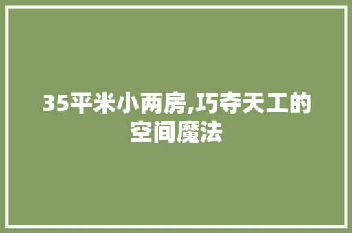 35平米小两房,巧夺天工的空间魔法