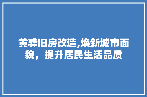 黄骅旧房改造,焕新城市面貌，提升居民生活品质
