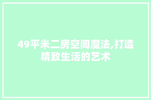 49平米二房空间魔法,打造精致生活的艺术
