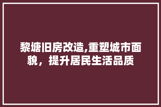 黎塘旧房改造,重塑城市面貌，提升居民生活品质