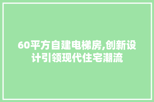 60平方自建电梯房,创新设计引领现代住宅潮流