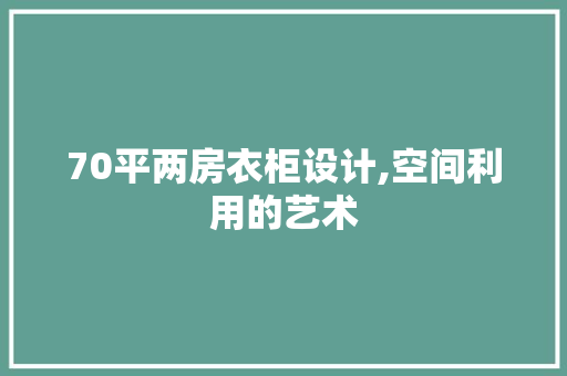 70平两房衣柜设计,空间利用的艺术