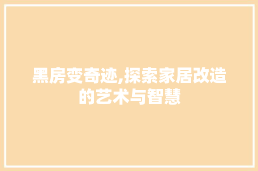 黑房变奇迹,探索家居改造的艺术与智慧