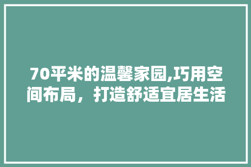 70平米的温馨家园,巧用空间布局，打造舒适宜居生活