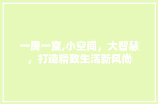 一房一室,小空间，大智慧，打造精致生活新风尚