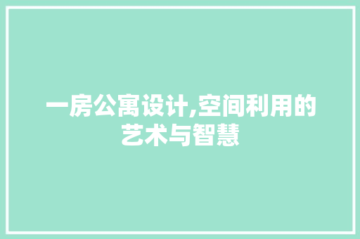 一房公寓设计,空间利用的艺术与智慧